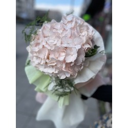 Hydrangea Bouquet