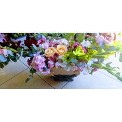 arrangement "Katia"