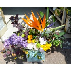 arrangement "Drawer"